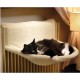 Cuccia termosifone per gatto