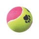 Tennis Ball Colorata
