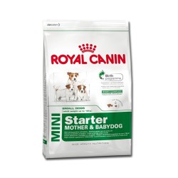 Royal Canin dog MINI STARTER M&B 1KG.