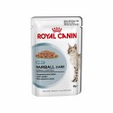 Royal Canin Feline HAIRBALL CARE GRAVY in salsa - busta 85 gr.