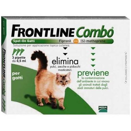 frontline gatto