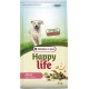 Happy Life adult agnello