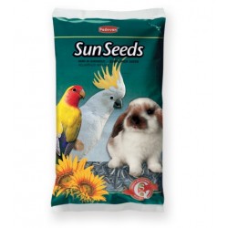 PADOVAN sun seeds 500 gr.
