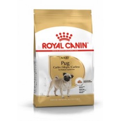 Royal Canin dog PUG CARLINO kg. 1.5