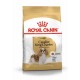 Royal Canin dog adult CAVALIER KING CHARLES kg. 1.5