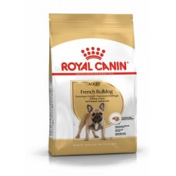 Royal Canin dog adult BULLDOG FRANCESE