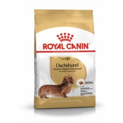 Royal Canin dog adult BASSOTTO kg. 1.5
