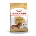 Royal Canin dog adult DACHSHUND (BASSOTTO) kg. 1.5