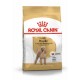 Royal Canin dog adult POODLE (BARBONCINO) kg. 1.5