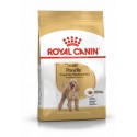 Royal Canin dog adult POODLE (BARBONCINO) kg. 1.5