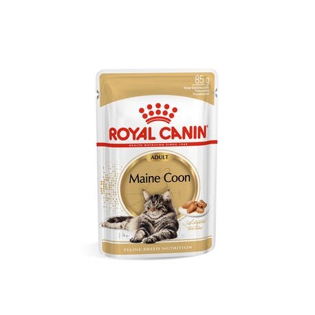 Royal Canin cat adult MAINE  COON busta gr.85