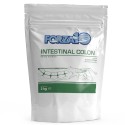 FORZA 10 Cat  Intestinal Colon FASE 1 - KG.2
