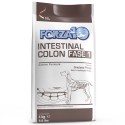 FORZA 10 dog INTESTINAL COLON fase 1