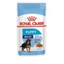 Royal Canin dog WS MAXI PUPPY busta gr.140