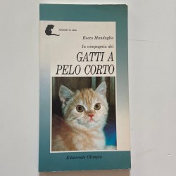 LIBRO " Gatti a pelo corto " Rocco Mandaglio