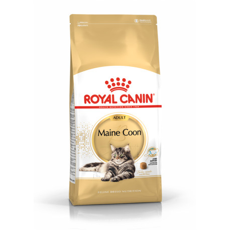 Royal Canin Feline main coon