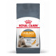 Royal Canin FELINE HAIR&SKIN CARE